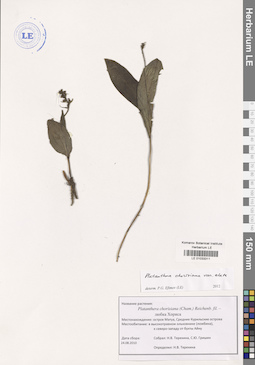 LE 01033311