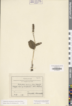 LE 01033315