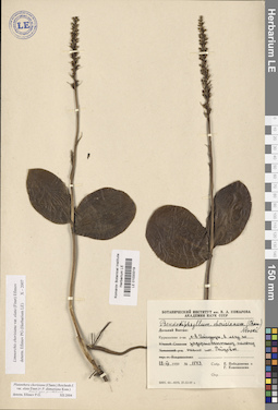 LE 01033319