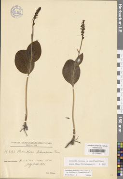 LE 01033327