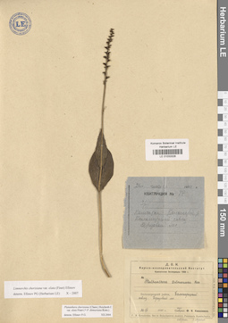 LE 01033328