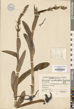 LE 01033340