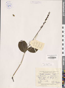 LE 01037679