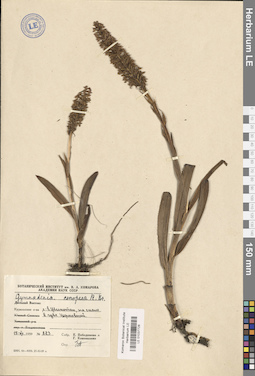 LE 01037728
