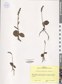 LE 01040711