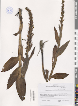 LE 01040719