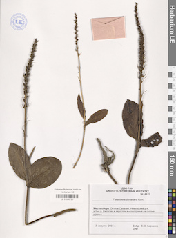 LE 01040720
