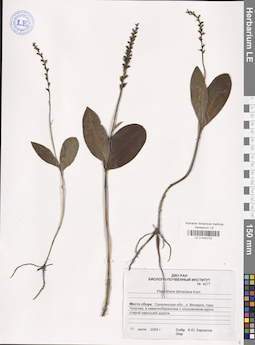 LE 01040722