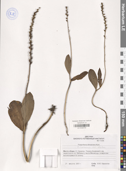 LE 01040723