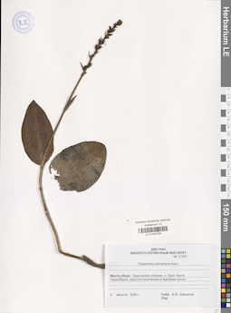 LE 01040724