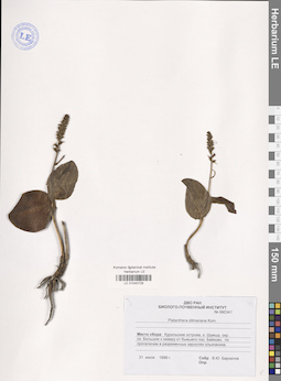 LE 01040729