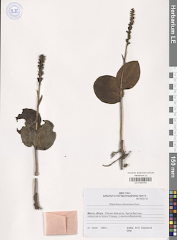 LE 01040744