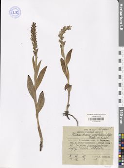 LE 01040792