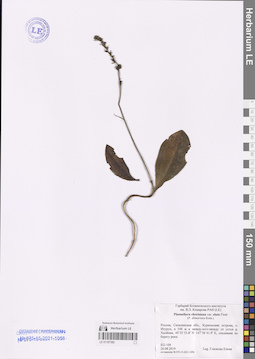 LE 01187382