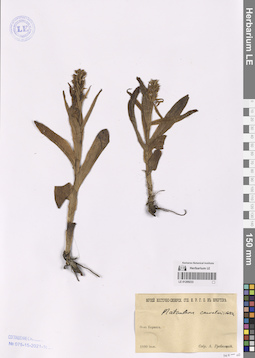 LE 01209233