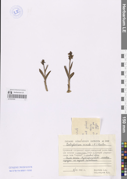 LE 01251501