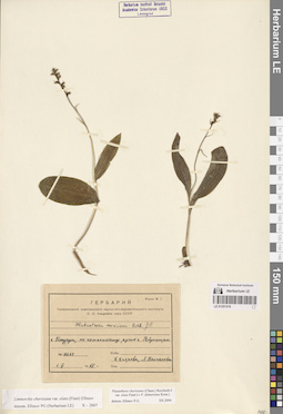 LE 01251519
