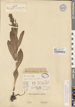 LE 01251535