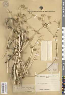 LE 01261789