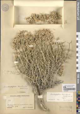 LE 01261801