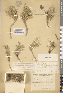 LE 01261802
