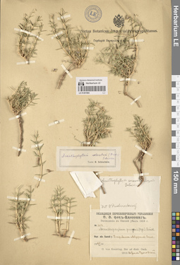 LE 01261804