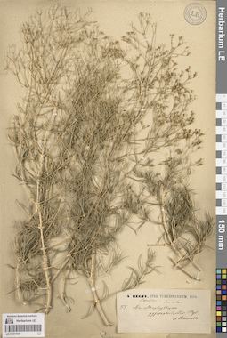 LE 01261820