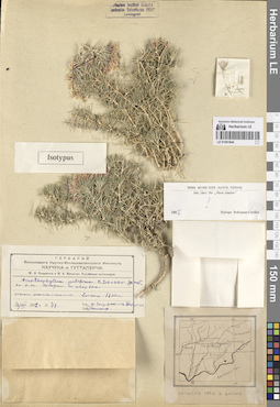 LE 01261844