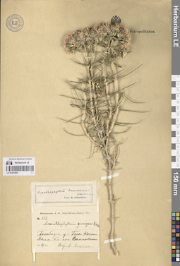 LE 01261869