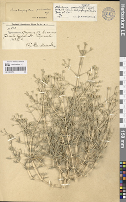 LE 01261874