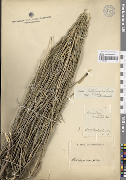 LE 01261890