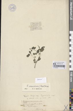 LE 01083322