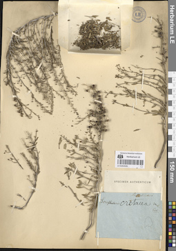 LE 01053545