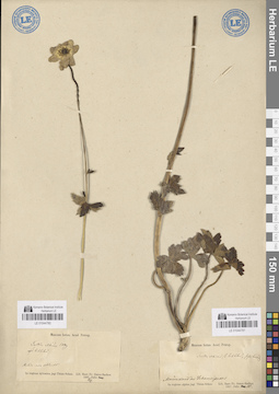 LE 01044780
