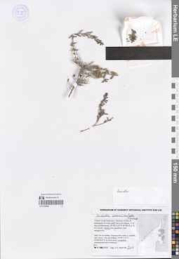 LE 01259486