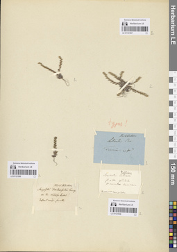 LE 01121505