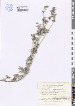 LE 01121540