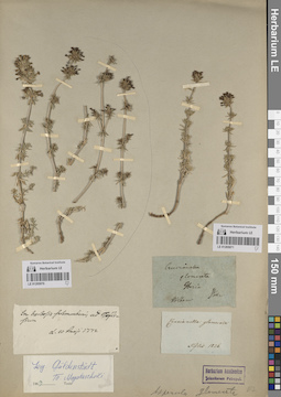 LE 01205070
