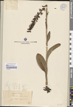 LE 01251651
