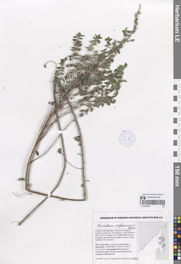 LE 01070661