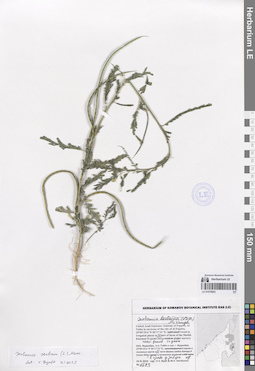 LE 01070663