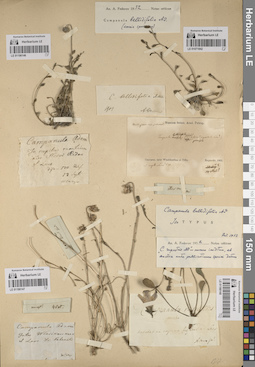 LE 01190147