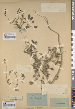 LE 01190153