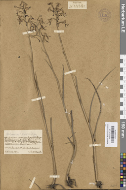 LE 01033730