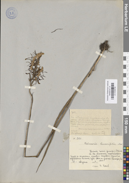 LE 01033734