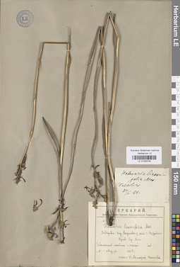 LE 01033745