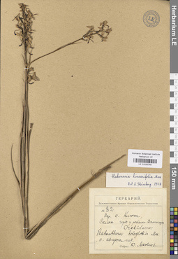 LE 01033748