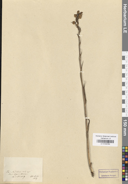 LE 01033760
