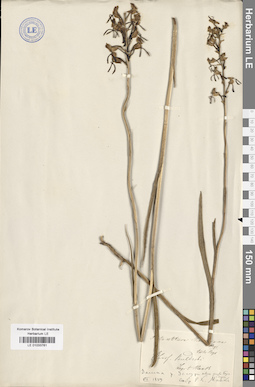 LE 01033761
