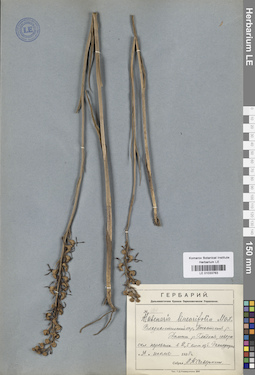 LE 01033763